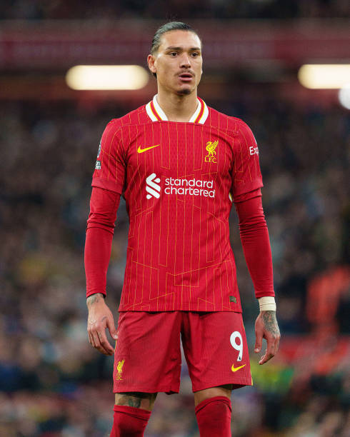 还请来世界 还请来世界